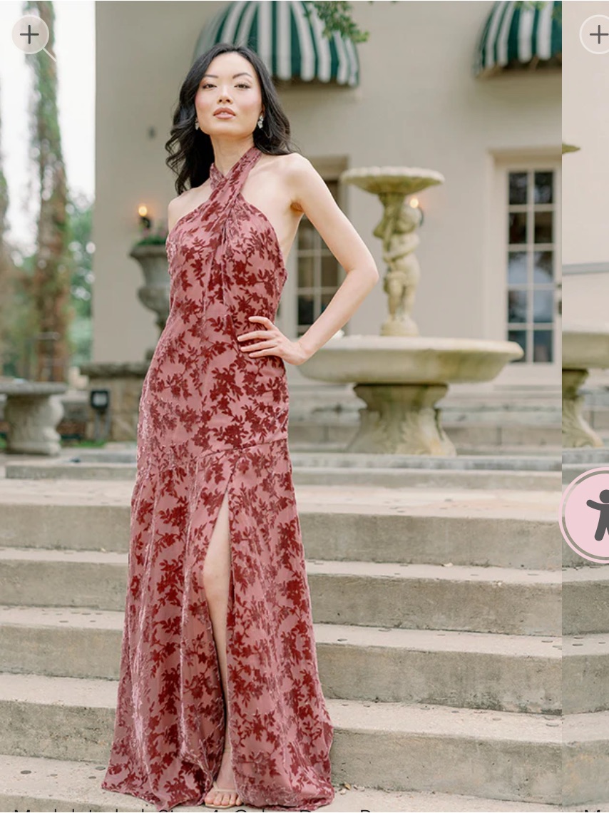 Nwt Revelry Athena Floral Burnout Velvet Dress Sz 6